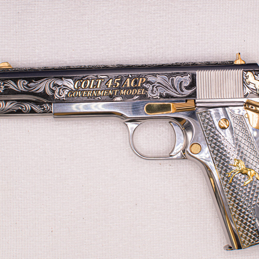Colt government 45 ACP